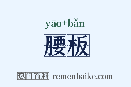 腰板是什么意思的图片